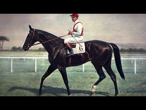 Pillole di Ippica - Botticelli, il sogno che si avvera!