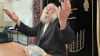 הכנה לליל הסדר פסח , הרב נפתלי ארלנגר אלעד שנת תשפ''ו