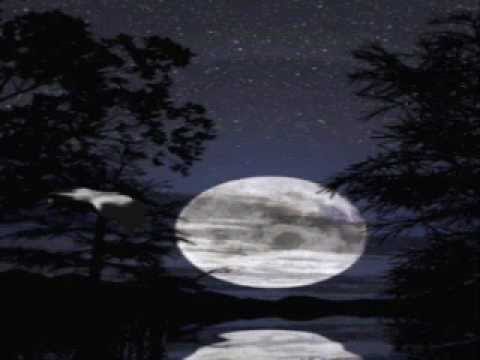 GUILLERMO FERNANDEZ.PARA ESTAR CONTIGO.