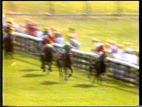 1989 - York - Juddmonte International Stakes - Ile De Chypre