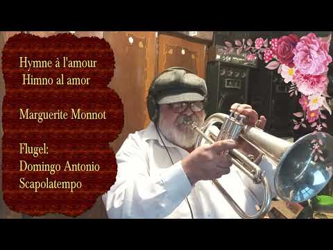 "HIMNO AL AMOR" Músic: MARGUERITE MONNOT. Flugelhorn: DOMINGO ANTONIO SCAPOLATEMPO.