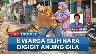 Anjing Gila Ngamuk Gigit 8 Warga Silih Nara Aceh Tengah, Korban Khawatir Tertular Penyakit Rabies