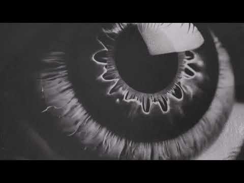 Bitinjuice - Hamburg