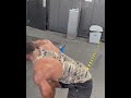 Great back exercise heavy DB rows #shorts