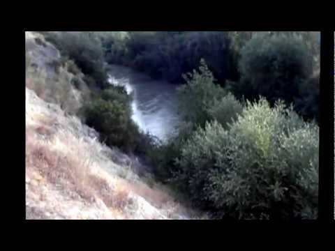 PODENCO ORITO ESPAÑOL, RECOVA DE LA CORA RAYYA