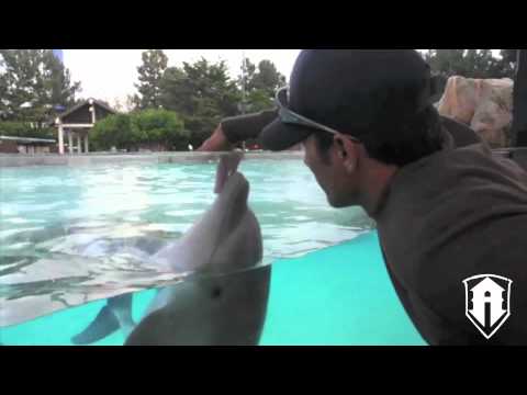 Alex Soto- Alchemist Management