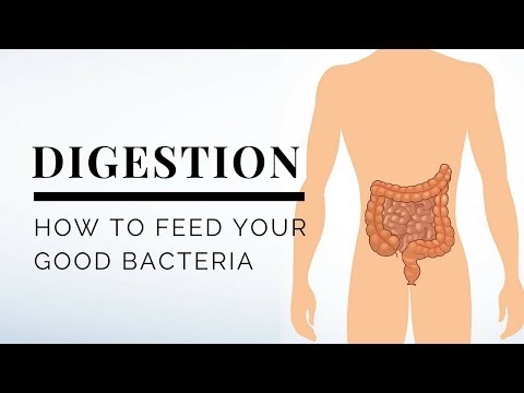 How to Feed Your Good Bacteria