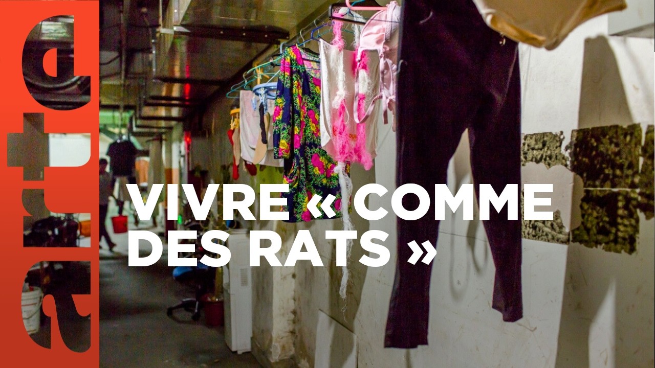 Chine : la tribu des rats (2017) | ARTE Reportage