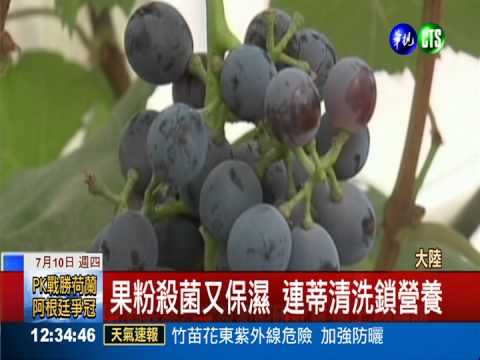 葡萄皮小常識! 神秘白霜大解密