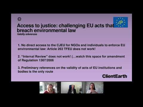 Webinar - Access to justice and the preliminary reference procedure