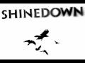 Shinedown - Second Chance (Album) w/ live ...