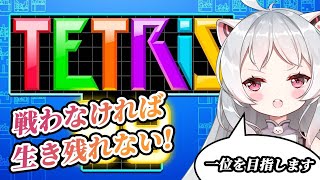~(=^･ω･^)ﾉ【月ヶ瀬ゆみ/Vtuber】初心者が無謀にも1位を目指す！！Switch版テトリス【テトリス】