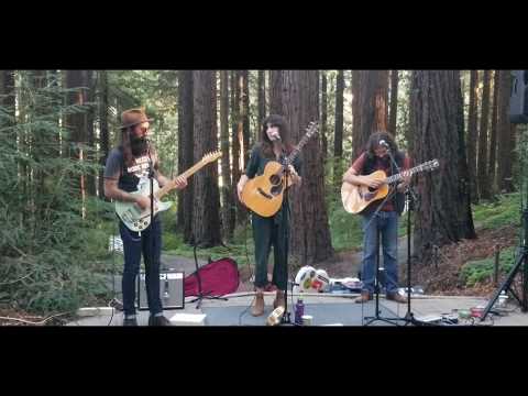 Juarez  (Ross James) Nicki Bluhm with Scott Law and Ross James | UC Botanical Redwood Grove(4)