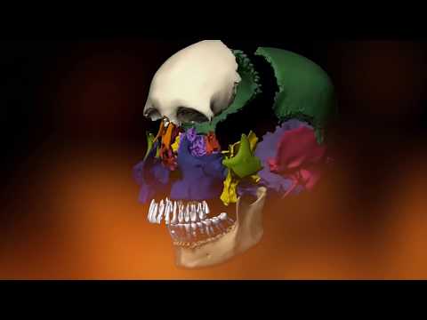 Yung Kane - NEVA SLEEP [Official Music Video]