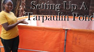 Tarpaulin Fish Pond Construction| Mobile Tarpaulin Fish Pond| Catfish Farming In Tarpaulin Fish Pond