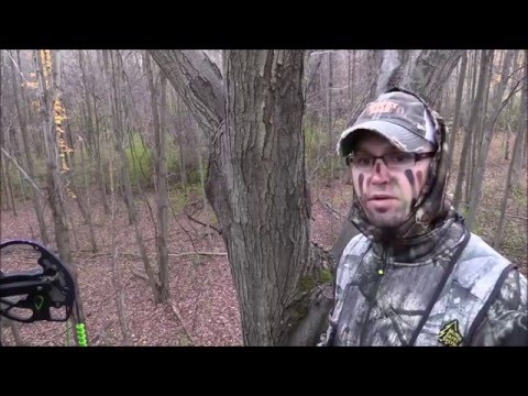 Close Encounter with a Giant Ohio Buck