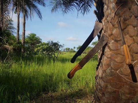 Der Boden ist da – Die Zukunft der Casamance