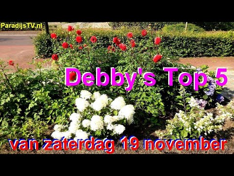 ParadijsTV:  met de Debby's Top 5 van Zaterdag 19  november 2022