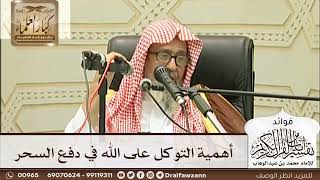 [230] أهمية التوكل على الله في دفع السحر - صالح الفوزان