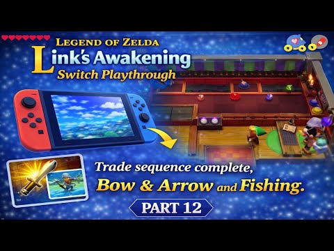 Legend of Zelda : Link's Awakening - Switch Playthrough Part 12