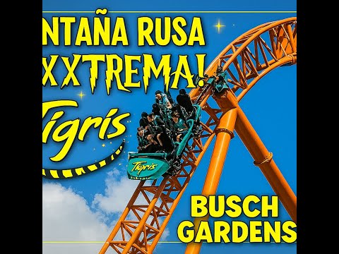 “¡Tigris en acción! La montaña rusa más salvaje de Busch Gardens Tampa 🎢🔥