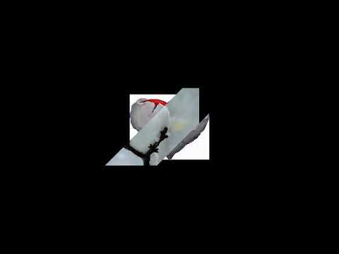 Coração de pedra video