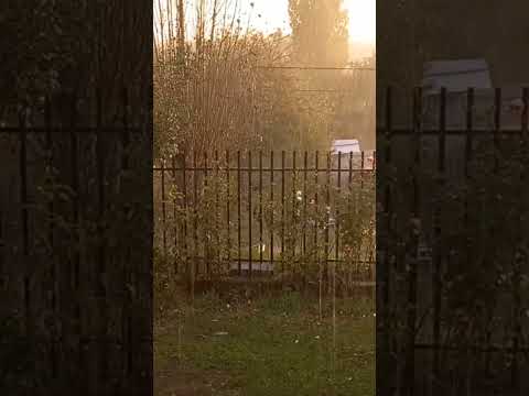 lluvia torrencial en san pablo region de los lagos