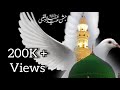 JASN E EID MILAD UN NABI Nara E Takbeer Whatsapp Status