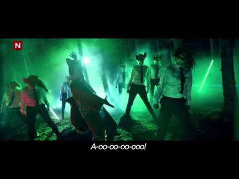 Oytun senkuldan the fox