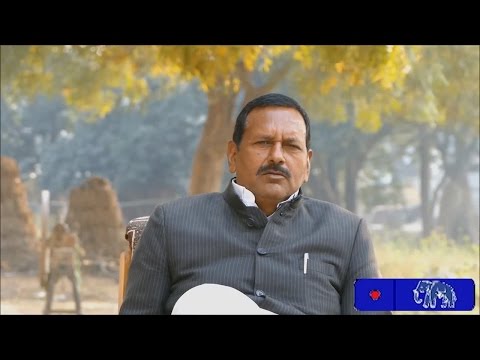 Rishabh Yadav MLA Election Documentary