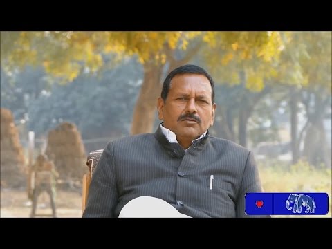 MLA Election Documentary