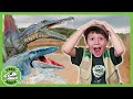 Underwater Dinosaurs EPIC Adventure T Rex Ranch Dinosaur Videos For Kids