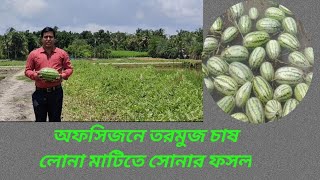 অফসিজনে তরমুজ চাষে কৃষকের ভাগ্য বদল।