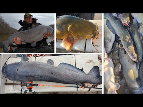 I Caught 100 Catfish!!! Insane Fishing Challenge & How to Catch BIG Catfish in the Winter