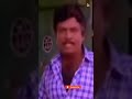 Goundamani Comedy Whatsapp Status Goundamani Comedy Dialogue Shortsfeed Shorts Comedy