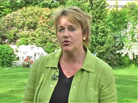 Valet 2006 - Kristdemokraterna