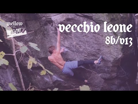 UNCUT: Diego Cameroni - Vecchio Leone (8B/V13)
