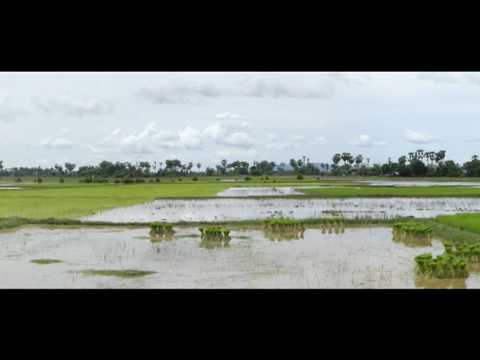 Sophal Ear: Escaping the Khmer Rouge