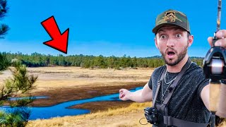 Can we Catch VICIOUS Toothy Fish in this Backwoods Waterhole?!