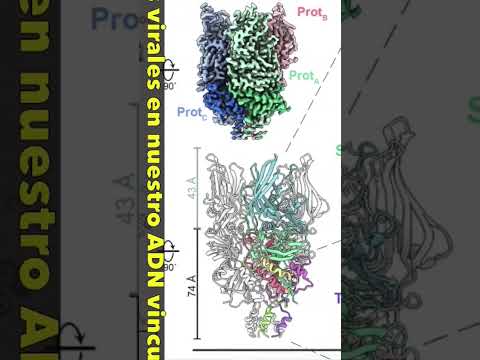 ADN viral oculto podría revolucionar la medicina 💉 #ciencia #shorts