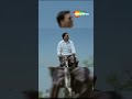 Khatta Meetha Movie Ka Funny Scene 02 Akshay Kumar Rajpal Yadav Comedy Shorts Ytshorts