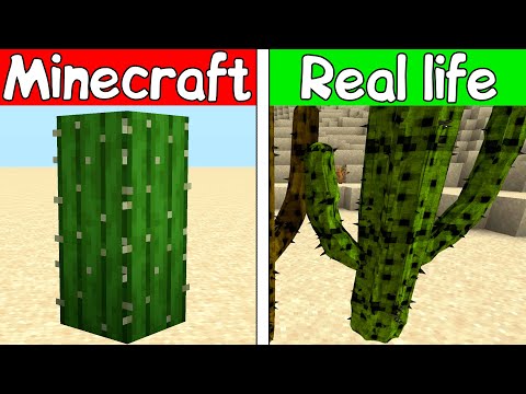 Realistic CACTUS - Realistic Minecraft #minecraft #RTX