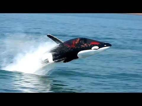 😱 EIN KILLERWAL JETSKI - SEABREACHER