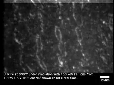 Evolution of Dislocation Loops during Irradiation