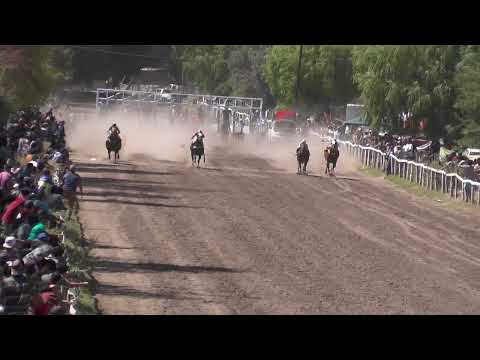 Empate NUBE NEGRA y MUCHACHITO Club Hipico "Riveras Neuquinas" -   Vista Alegre - Neuquen - 22-01-23