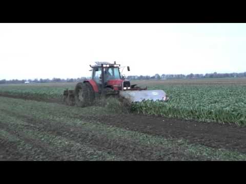 Sugarbeet harvest in The Netherlands (groningen)