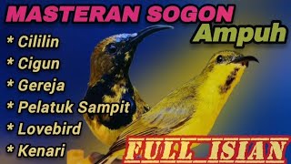 Download lagu AMPUH📍MASTERAN SOGON FULL ISIAN PALING DICARI.#sogon #sogokontong mp3 Download lagu AMPUH📍MASTERAN SOGON FULL ISIAN PALING DICARI.#sogon #sogokontong mp3