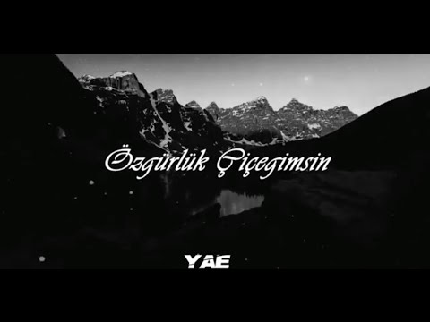 Özgürlük Çiçeğimsin - Kurdish Trap Remix - Prod By {Yusuf Arda Erkmen & Mmt Music } #Halitbilgiç