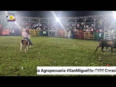 Ultima noche de montas 7ma Expoferia Agropecuaria #SanMiguelito