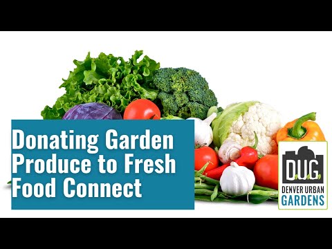 Donating Excess Garden Produce with Fresh Food Connect